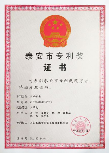 2018年泰安市专利奖-拉布精东视频污在线观看